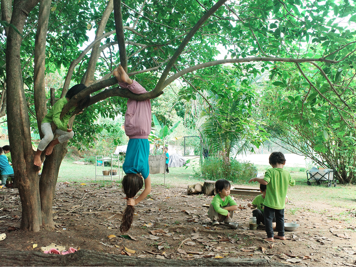 Kids hanging by tree exploring nature