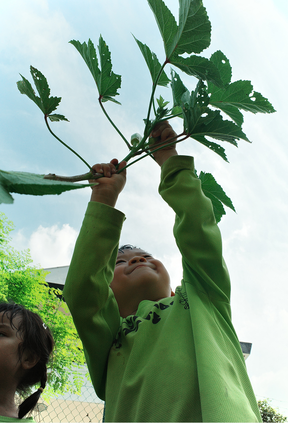 Kids picking fruit school nature activity